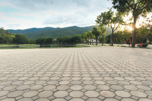 Best Residential Paver Driveway  in Chaffee, MO