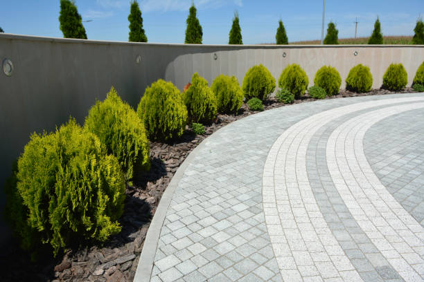 Best Local Driveway Pavers  in Chaffee, MO